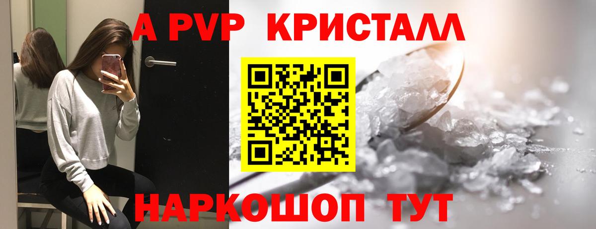 Альфа ПВП СК Хасавюрт