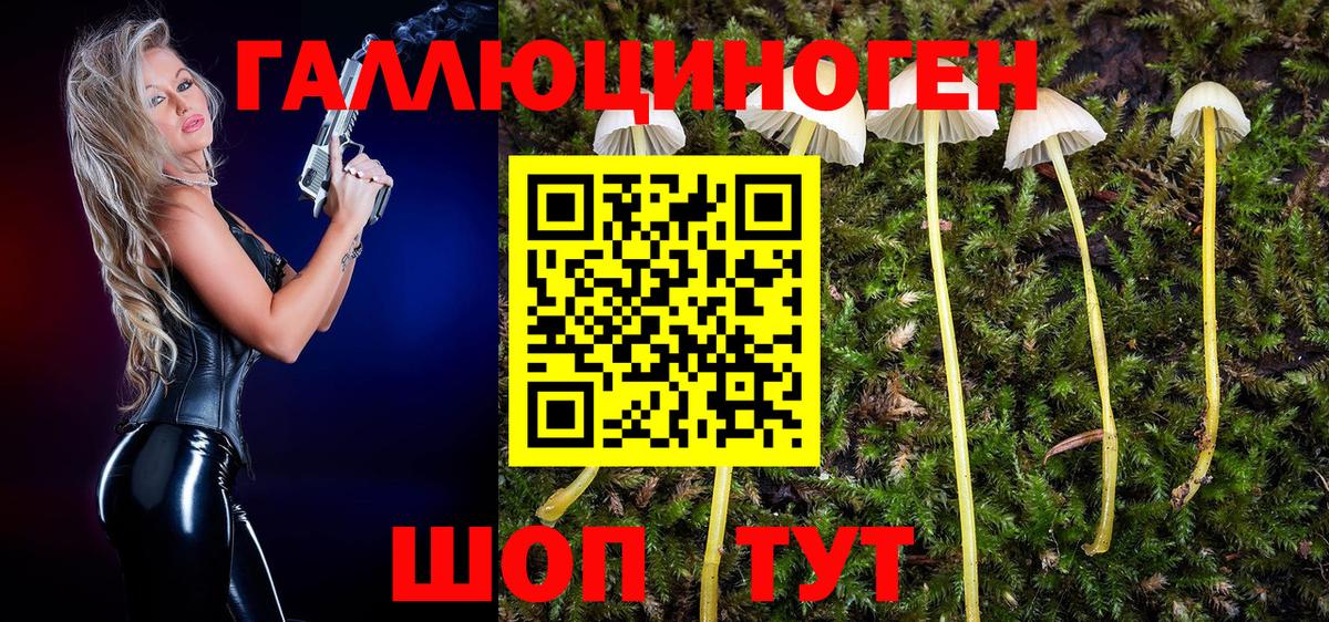 Псилоцибиновые грибы мицелий Хасавюрт