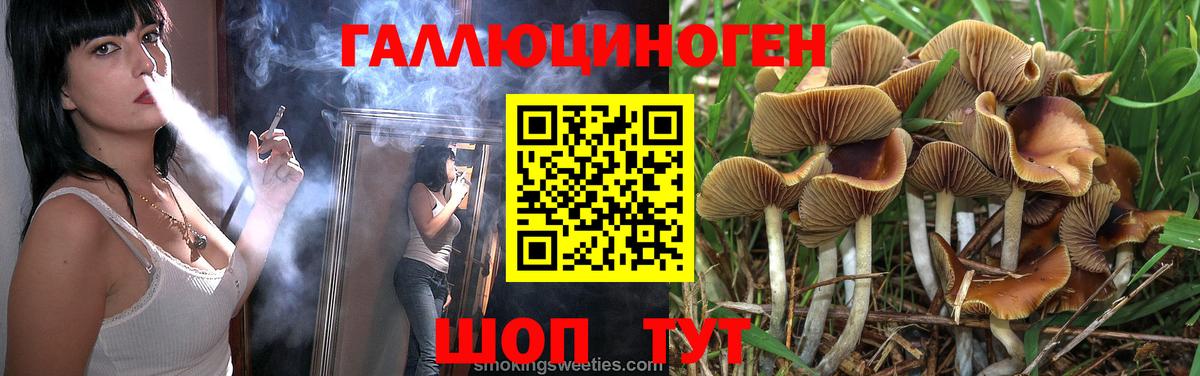 Галлюциногенные грибы MAGIC MUSHROOMS  Вход с VPN  Хасавюрт 